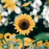 20180505