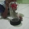 Daffa erlangga