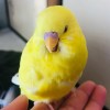 Happy Sky