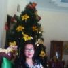 Adnil Sinaulan
