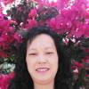 Chan ha ying