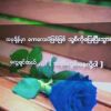 Yu Yu