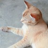程序员1.2