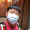 Swis_sims