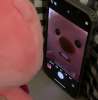 hoin0_
