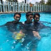 hamss
