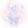 DREAMT≯1115