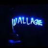 Wallace Lee