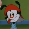 Matsu Gashi