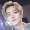 🌺ㅔ뷔🌺
