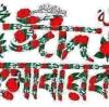 Nojrul Islam