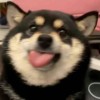源塘