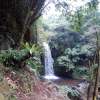Adhi Nyamuk Candra