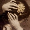 edelweiss95