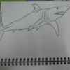 Blackfire_panje@