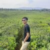 Fadly Siregar