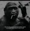 Sukastriono