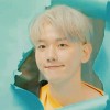 baek_pizza