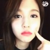 🐧 Minari 🐧