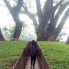 Indri Mikimosaddict Indri
