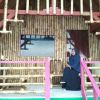 Shely Maryani