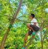 Muhammad Haris