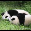 傅于萍
