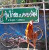 โต้ย ท่าอุเทน