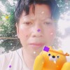 เสือลม
