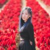 Chachnicha Linhlinh