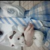 ♡~下叶水~♡