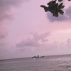 ยุทธ