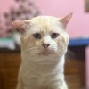 Amirul Afiq