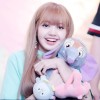 사풀리 syaputri