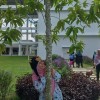 Izni