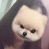 ปัณฑิตา กระสาย