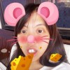 dindakoii