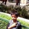 Isedarmawan
