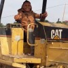 dewa