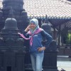 pipit