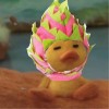 Chonlada_r