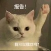 反迷你(｀⌒´メ)