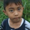 Puji Haryanto