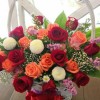 Rose Rose