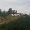 Zulfandi Andi