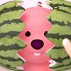 🍉