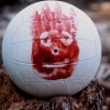 Wilson