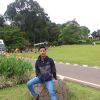 Shandy Prasetya