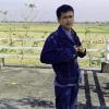 Marsu Wain