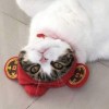 เหงาจัง